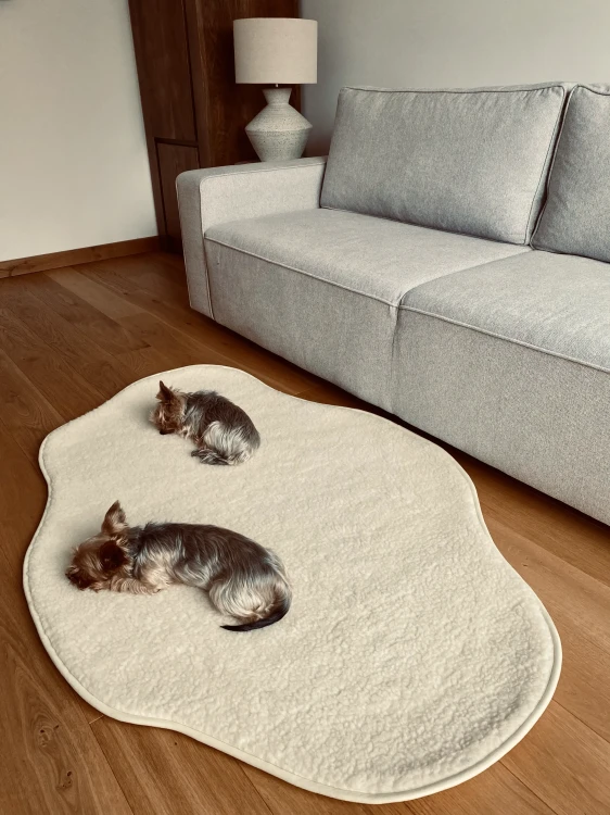 Dywan Nube Milk z wełny merino przy sofie, z dwoma odpoczywającymi psami