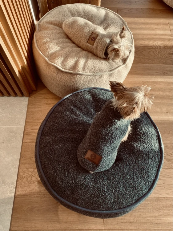 IMG_0174.webp